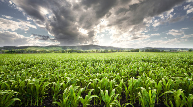 Growth Centre gets tick of approval