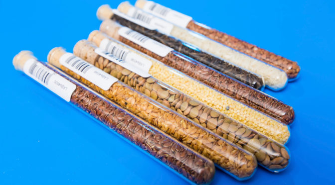 A cluster of labelled test tubes containing a variety of seeds and legumes