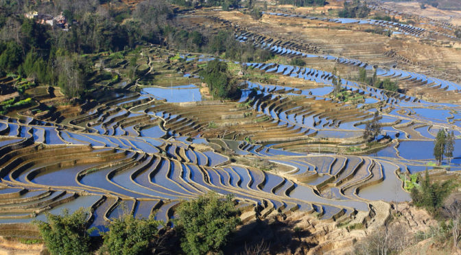 Work on barren soil may bear fruit