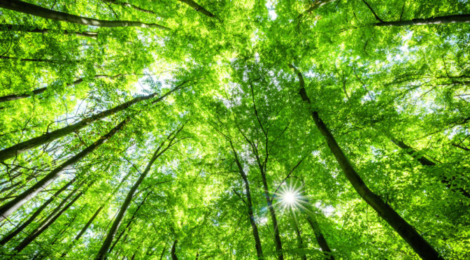 Building power by concentrating light