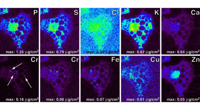 Safety of chromium questioned