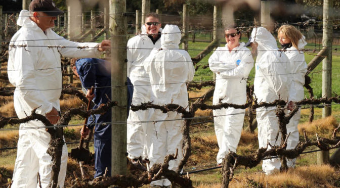 Protecting Australian wine