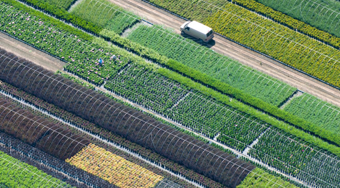 CO₂ cuts nutrition