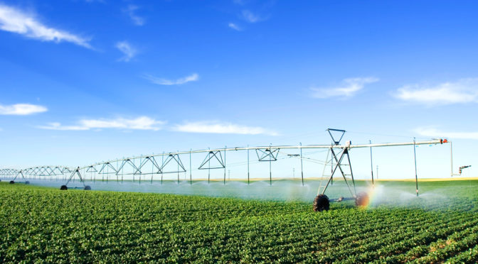 Real-time irrigation monitoring