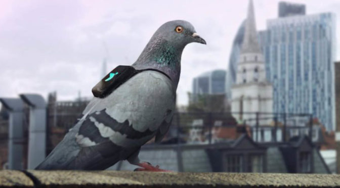 Big data, big business