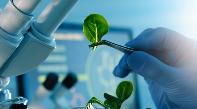 Australia's biosecurity