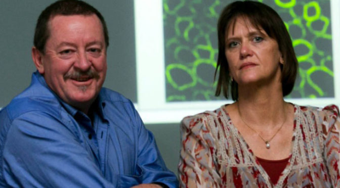 Duchenne muscular dystrophy