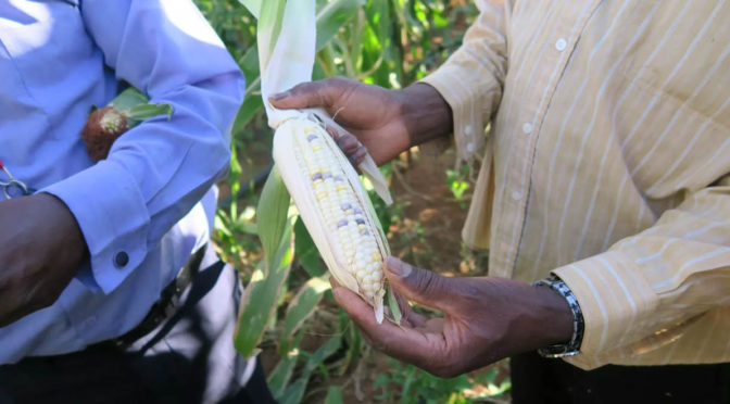 agricultural research