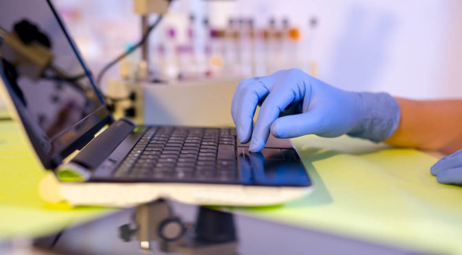 Early career researchers take the stage