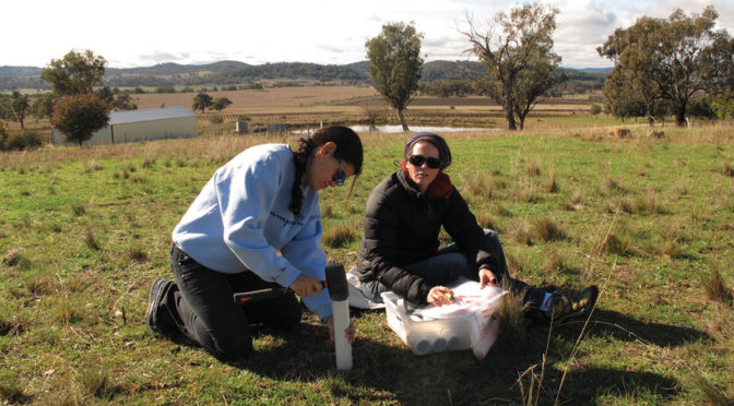 Preventing soil erosion with nuclear know-how