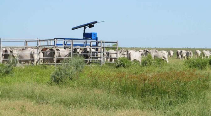 agricultural science