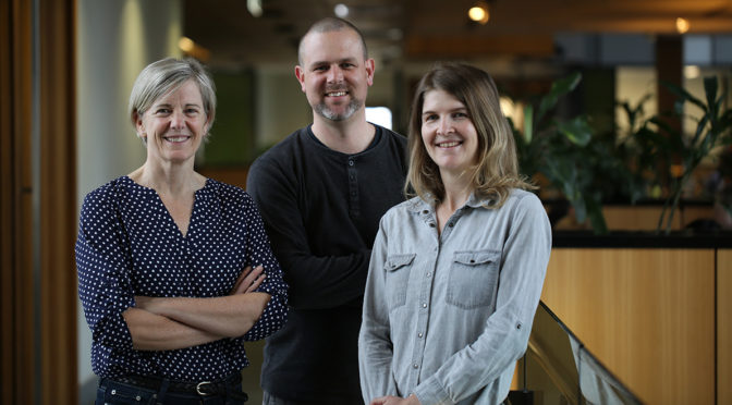 New pest monitoring start-up takes aim at fruit flies