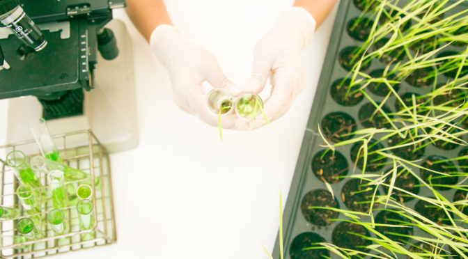 Quest for missing proteins in rice genome sequencing