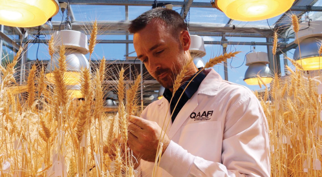 Dr Lee Hickey from the University of Queensland developed a way to allow crops to adapt to drought in new water innovation
