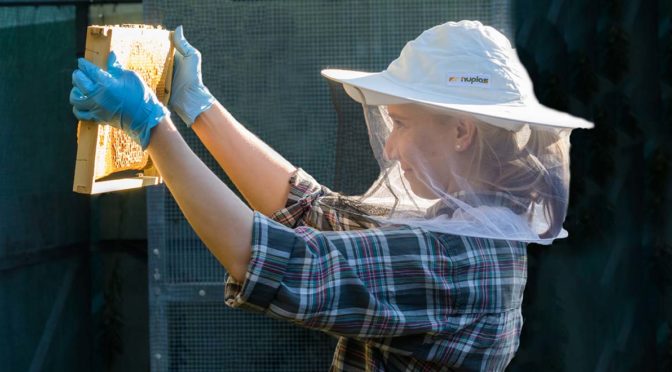 Early career researchers make a big impact