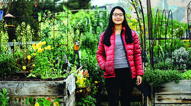 Packaging up a perfect PhD in food waste