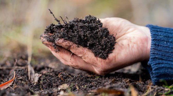Innovative strategies to boost soil carbon propel Australia towards net zero emissions
