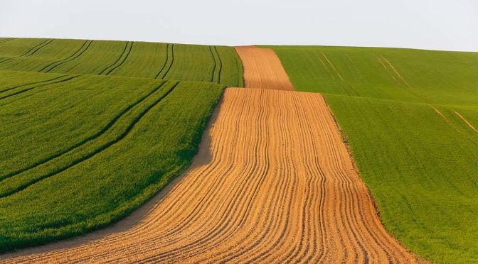  Zero Net Emissions Agriculture Cooperative Research Centre (ZNE-Ag CRC) set to scale sustainability