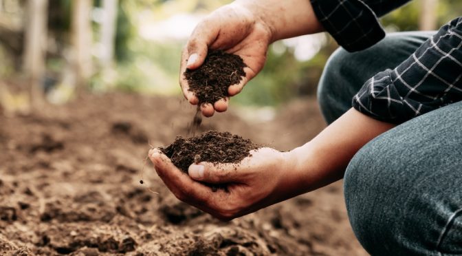 3D printed device for in-the-field soil testing wins the Early Career Researcher competition