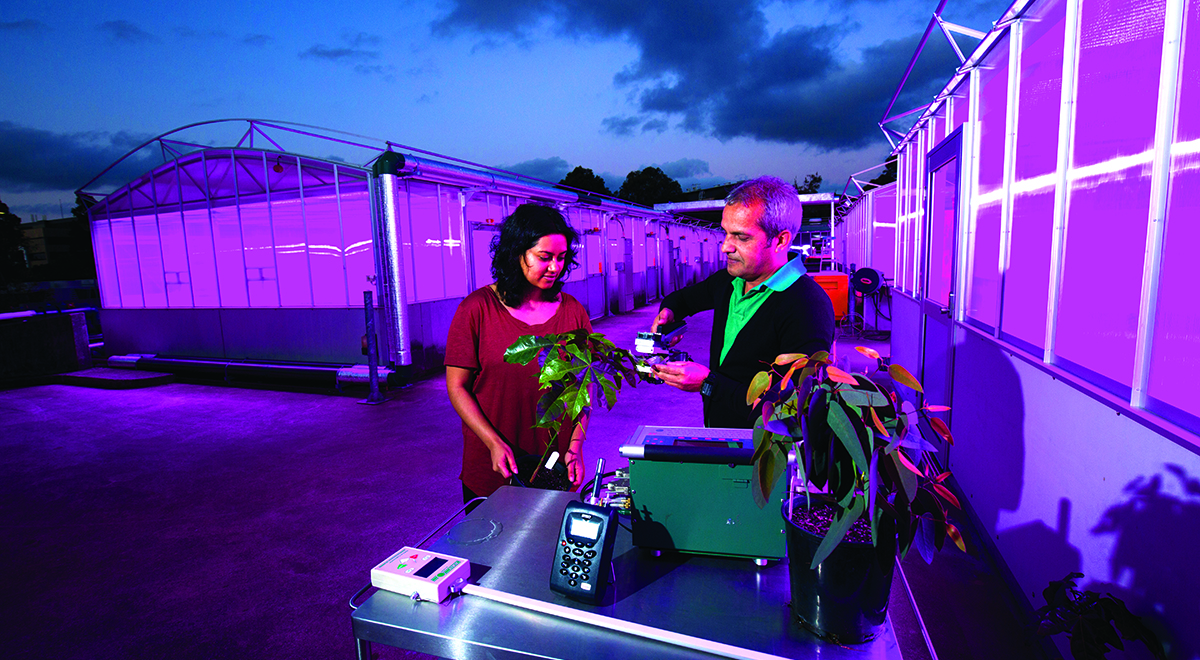 Four examples of successful  long-term partnerships between universities and industry